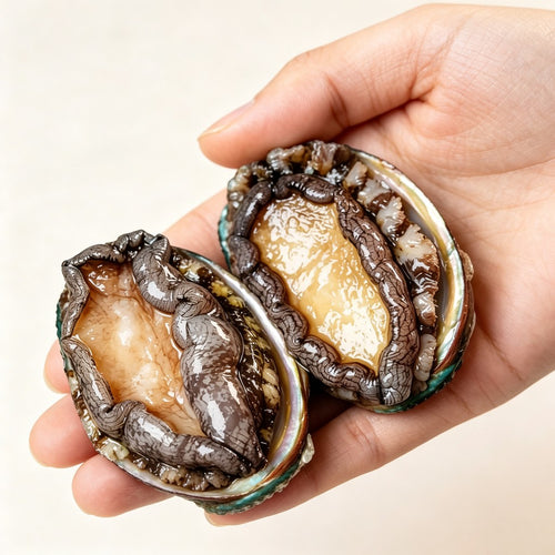 Whole abalone with iridescent shell on a light studio surface