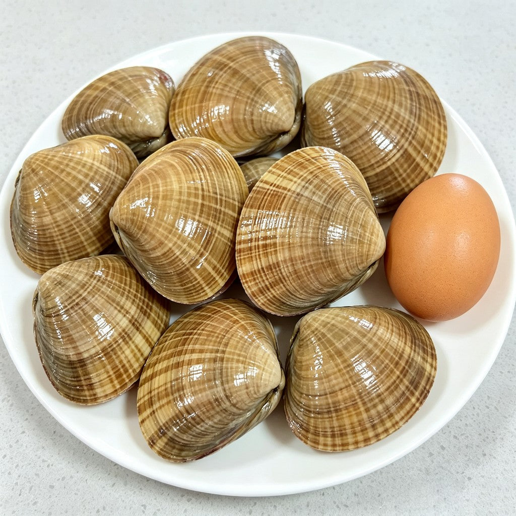 Large striped clam shells piled on a pale background